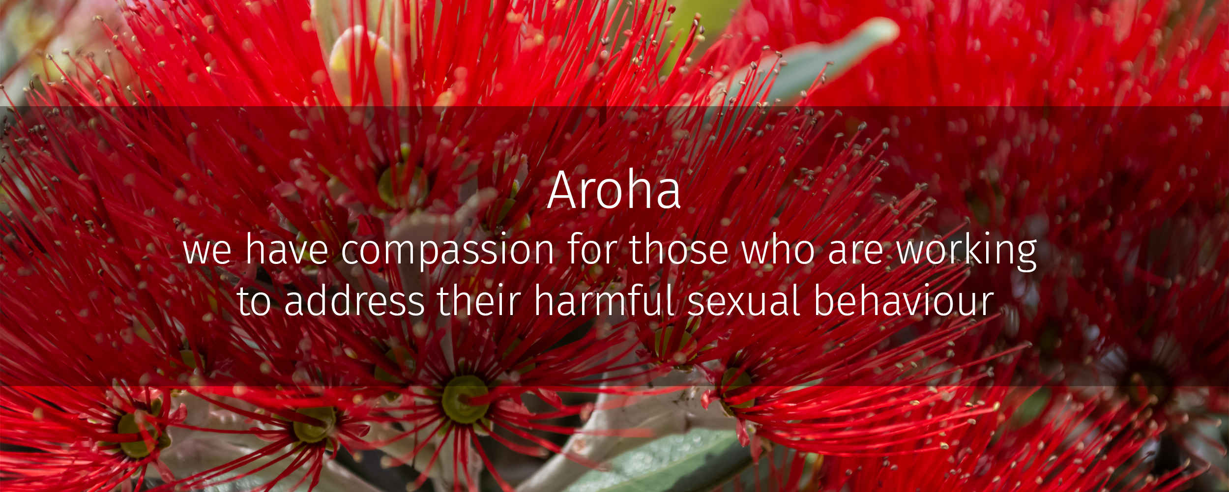 Aroha we have compassion for those who are working to address their harmful sexual behaviour